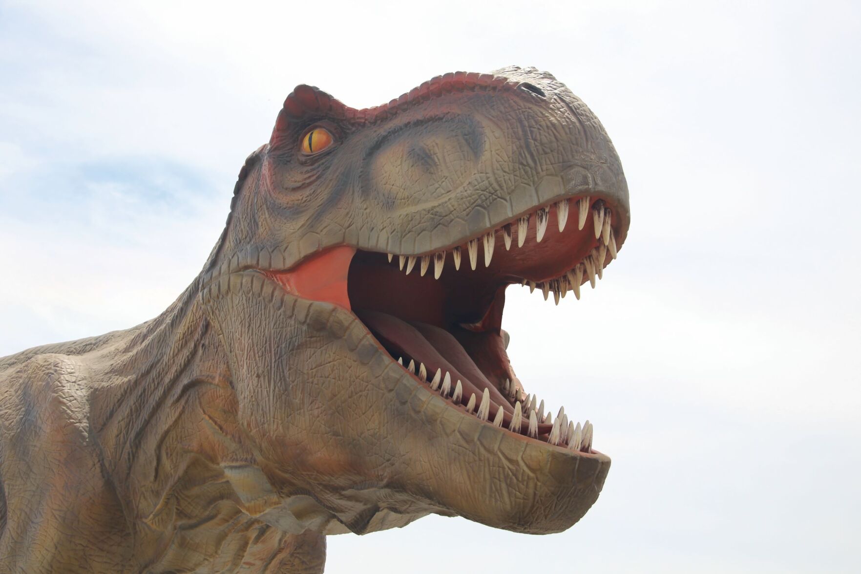 dinosaurs-3